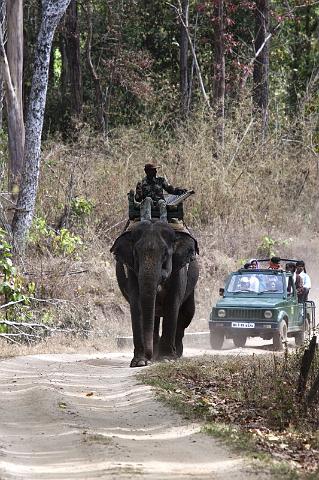 015 Kanha Nationaal Park, Op zoek naar de Tijger.jpg